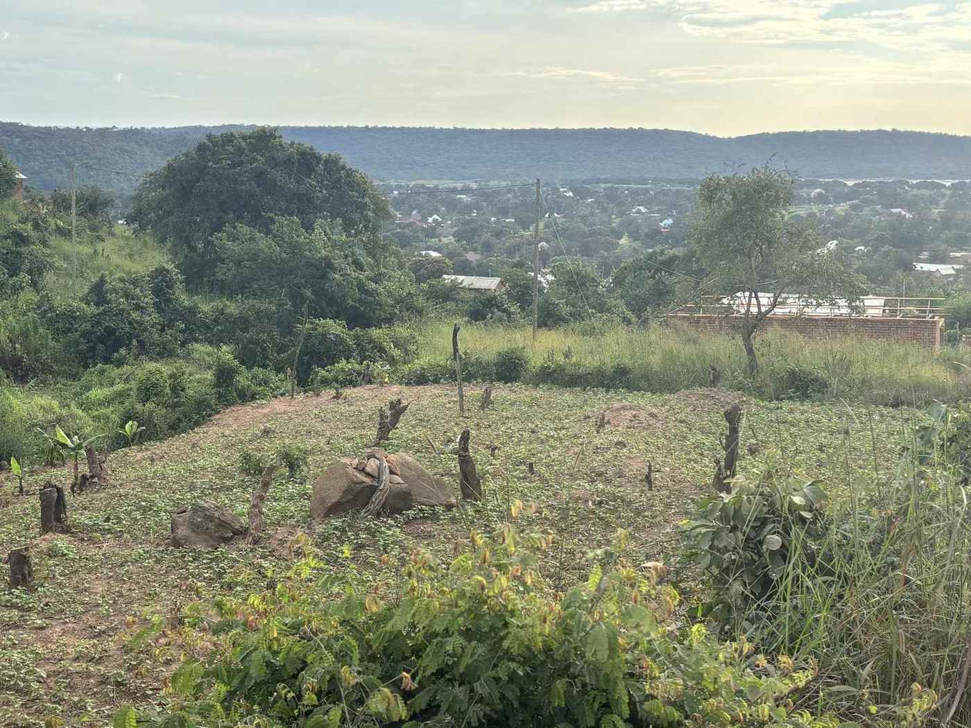 Green, high-rainfall landscape near Lake Victoria