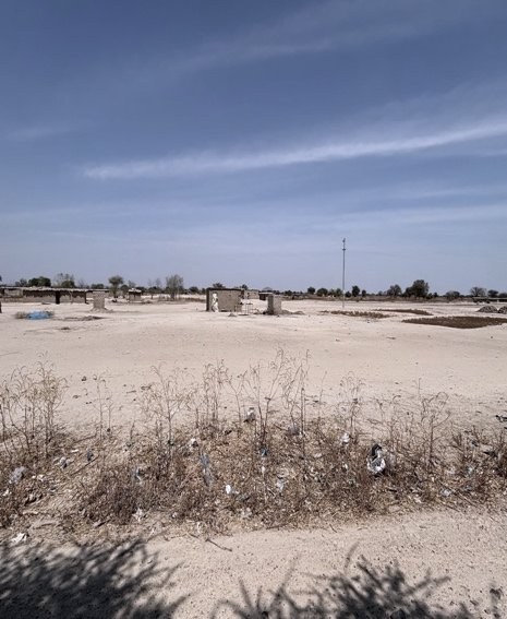 Sandy, sparse landscape at a drought-prone study site